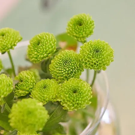 „langer Jammer“ Im Hesterhoff