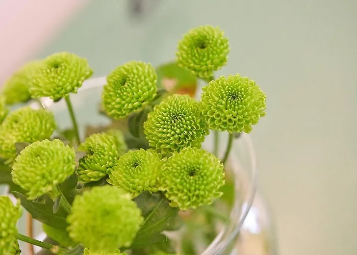 „langer Jammer“ Im Hesterhoff